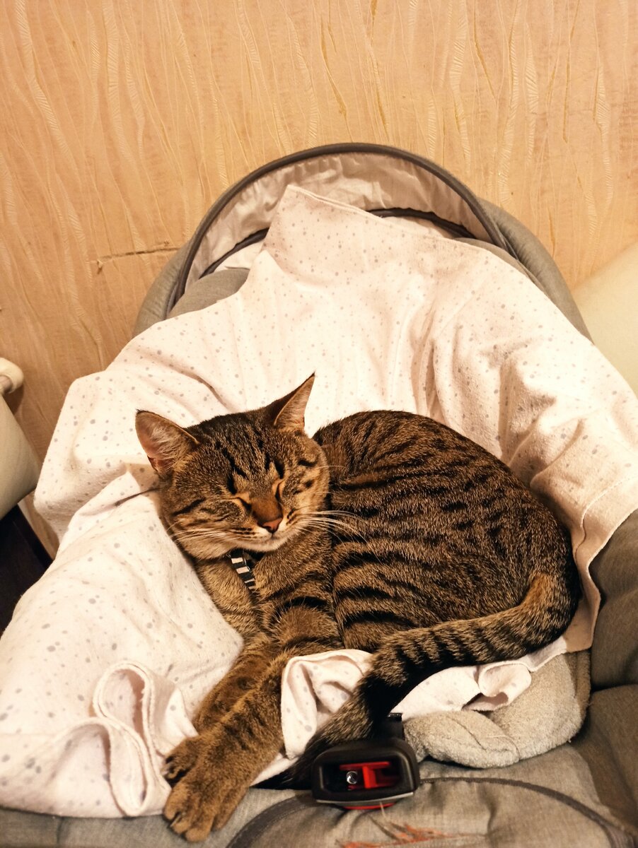 Енисей на своём любимом месте