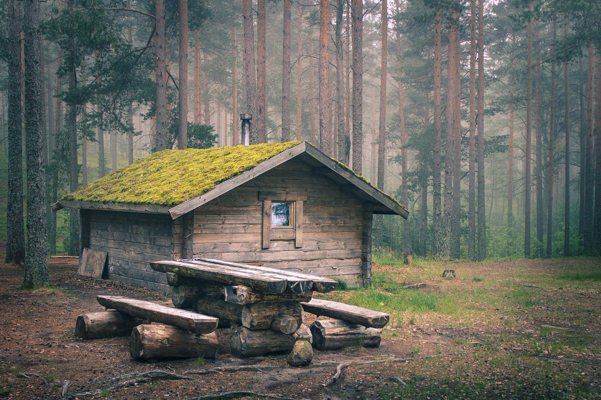 Картинка из интернета