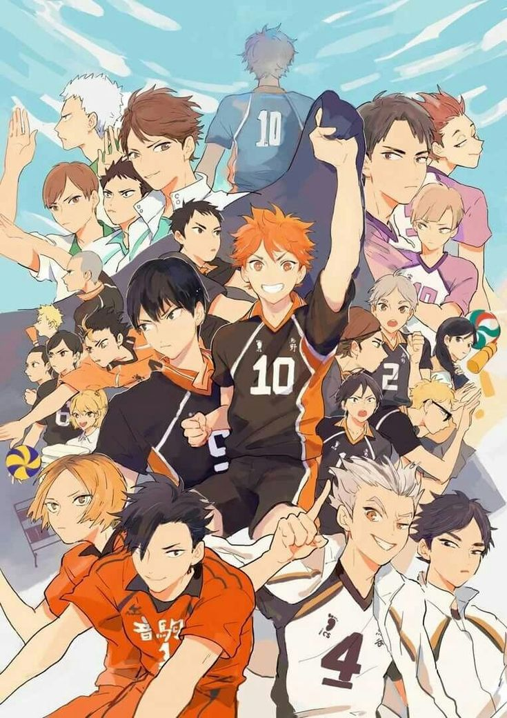 Волейбол!!  /  Haikyuu!!