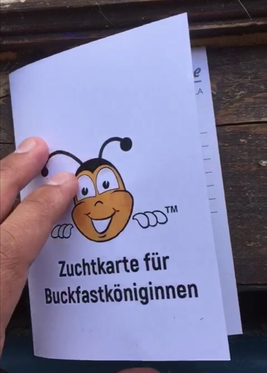 Так выглядит обложка паспорта. 