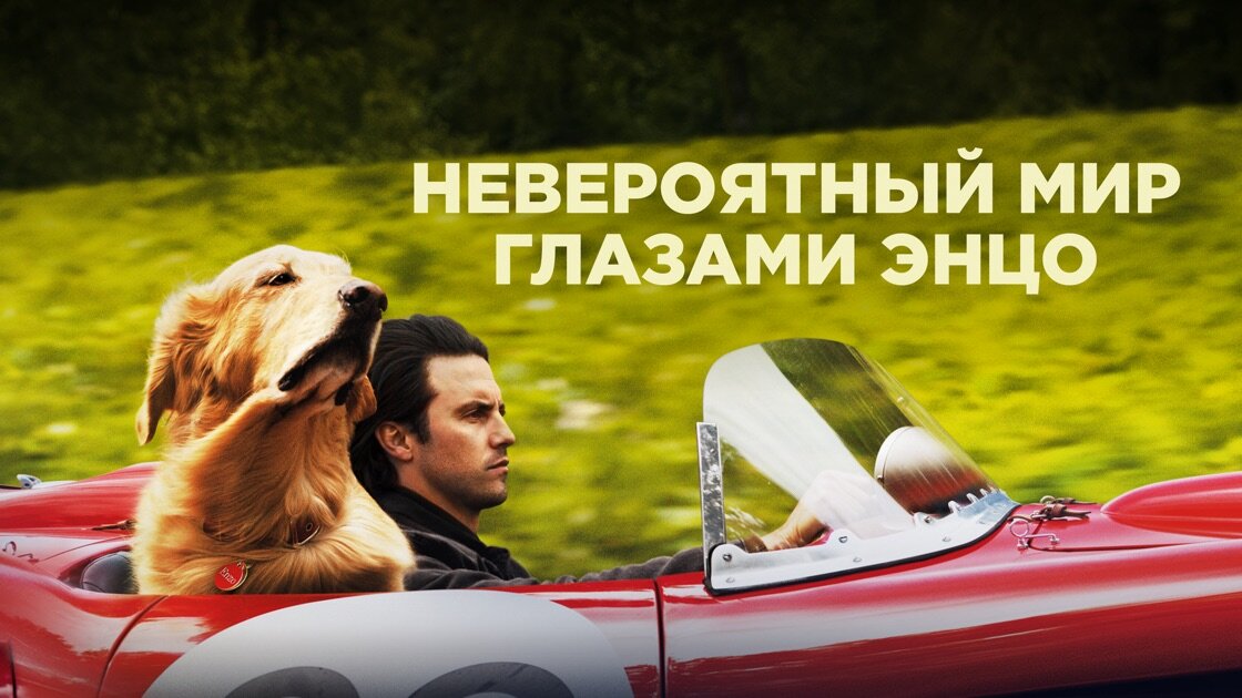 Моя оценка 10/10
Оценка КиноПоиск - 7.9
Оценка IMDB - 7.6
🎭Жанр: драма