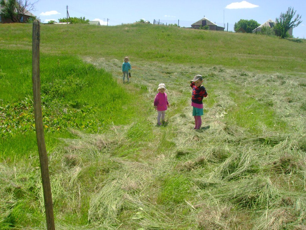 Фотография из собственного  архива. На окраине. Как же это хорошо! Простор для детей! Настоящая леди и на сенокос приходит с дамской сумочкой.      