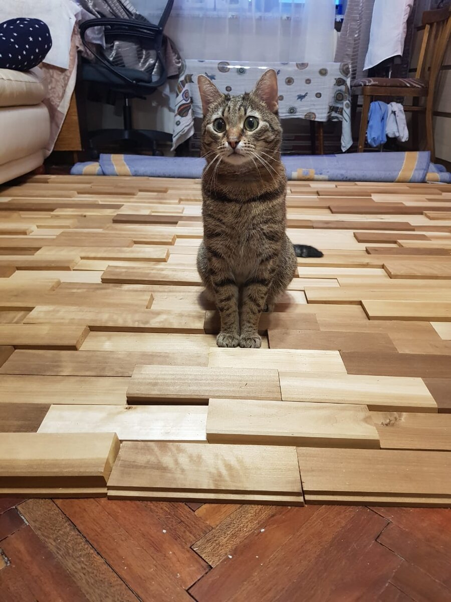 Брамс. Фото Никиты Булгакова