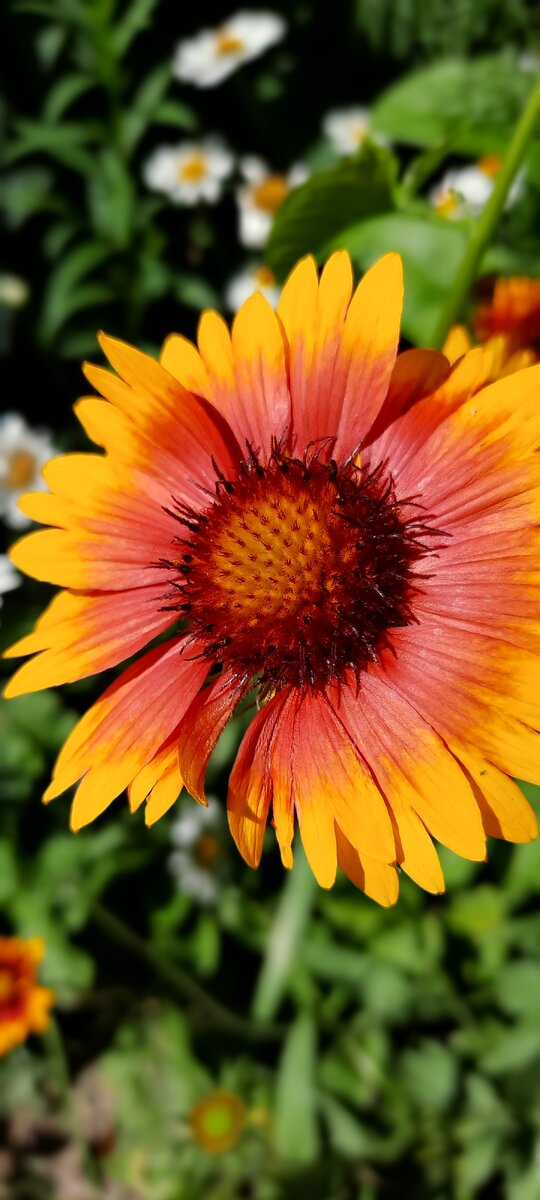 Авторское фото