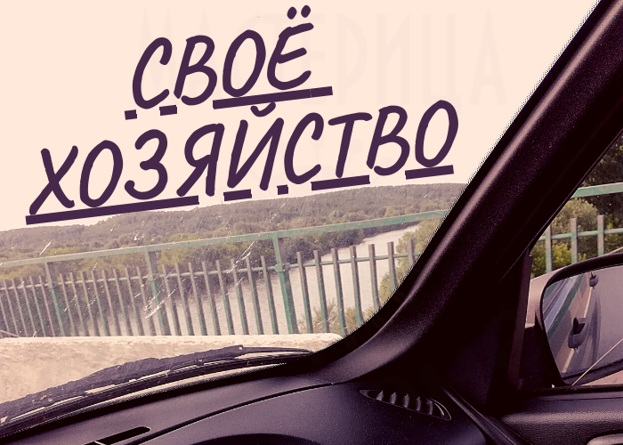 Роман Я