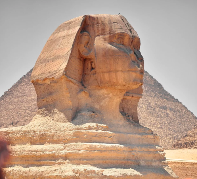 Фотография взята с сайта: https://carnegiemuseums.org/wp-content/uploads/sphinx-2499773_1920.jpg