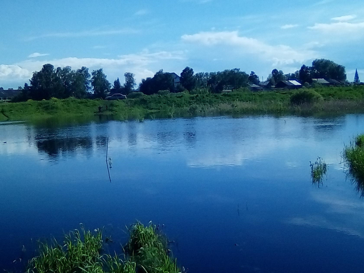 Село колосовка омской. Оша река Омск. Оша Колосовский район. Колосовка Оша река. Омск Колосовка река Оша.