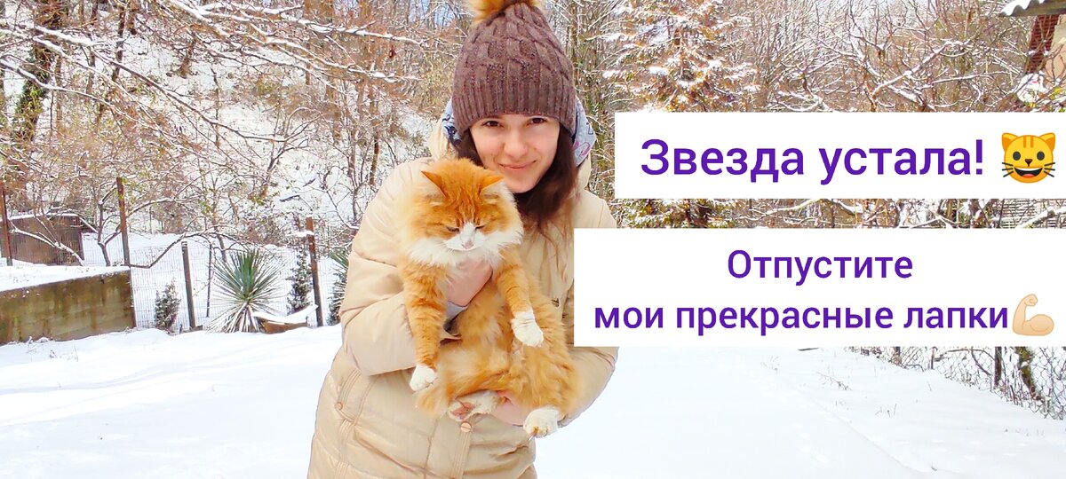 Котя требует перерыв🐈