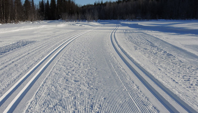 Прекрасные две полоски - классический бег - мчишь как поезд по рельсам!