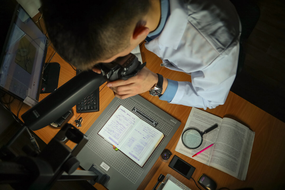 сетевая   криминалистика 