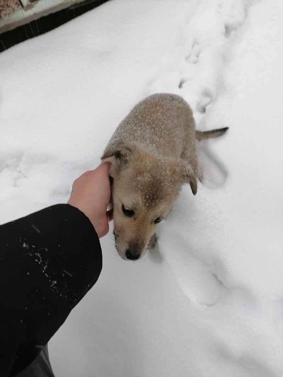 Качество урезал Яндекс)))