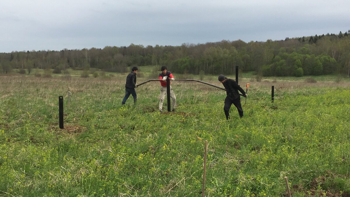 Сваи крутили руками, так как технике туда было не проехать >> 