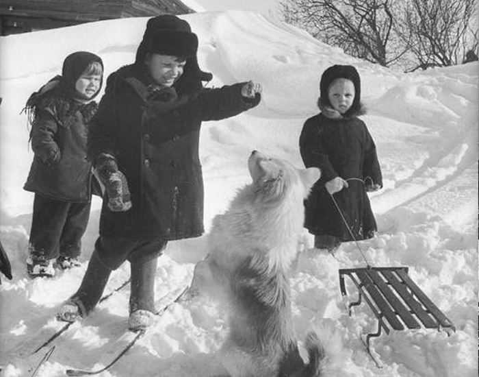 Зимние забавы советских ребятишек. Сколько снега на этом фото, а детям все не ни почём. Фото взято из открытых источников: fishki.net