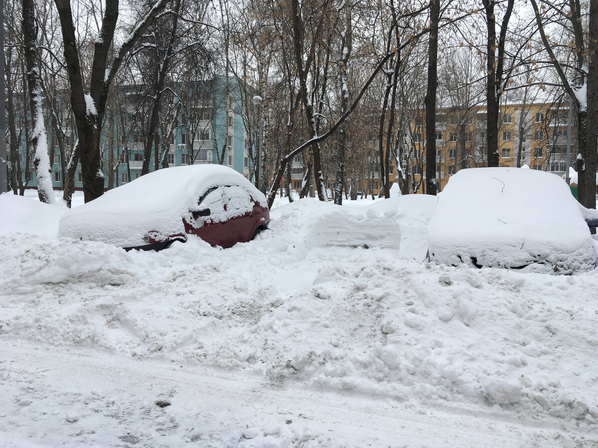 Февраль-2021 в Москве. Снято автором поста