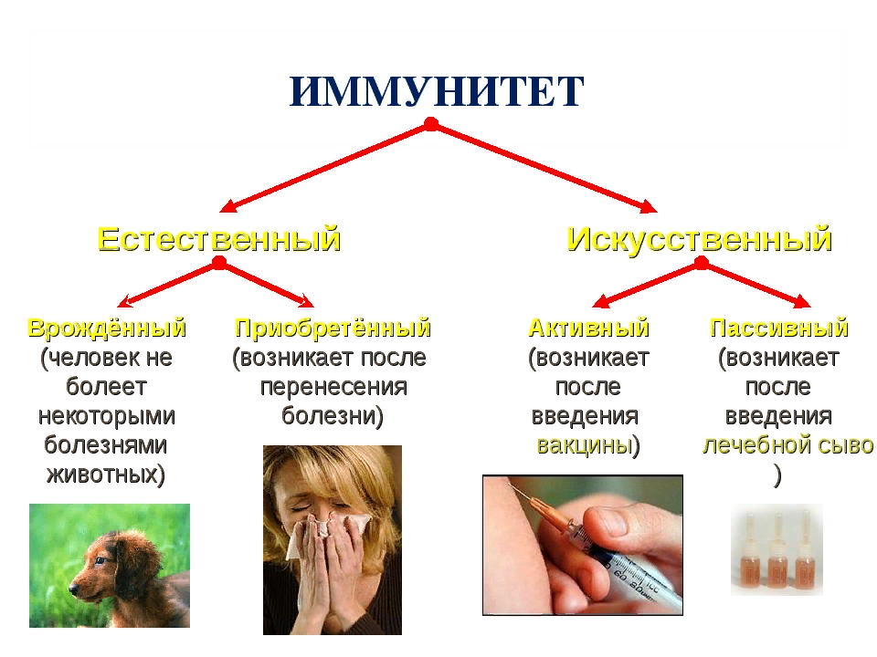 Какие есть естественные. Естественный приобретенный иммунитет возникает после. Искусственный пассивный иммунитет формируется после. Иммунитет врожденный приобретенный искусственный. Естественный врожденный иммунитет.