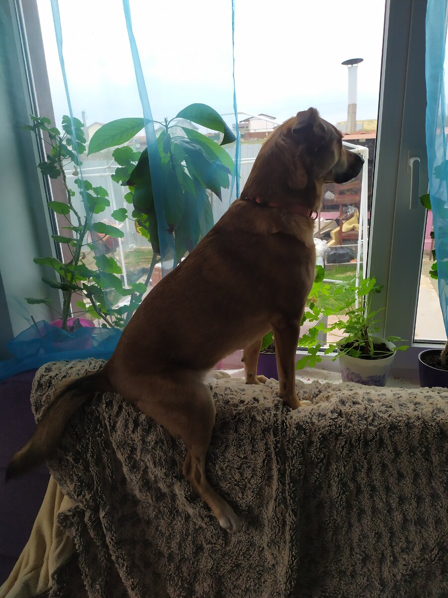 Зайка-мотоциклист