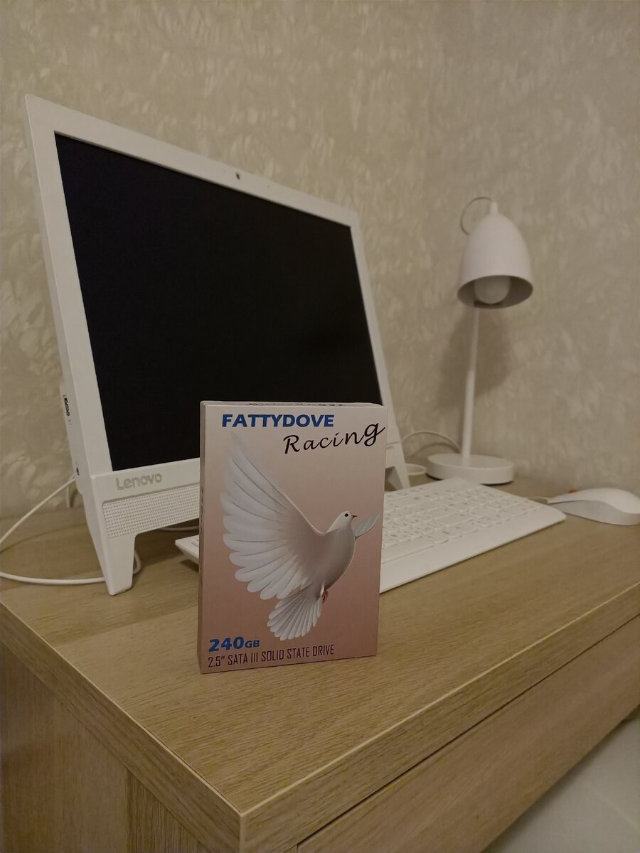 SSD диск фирмы FATTYDOVE 240 ГБ