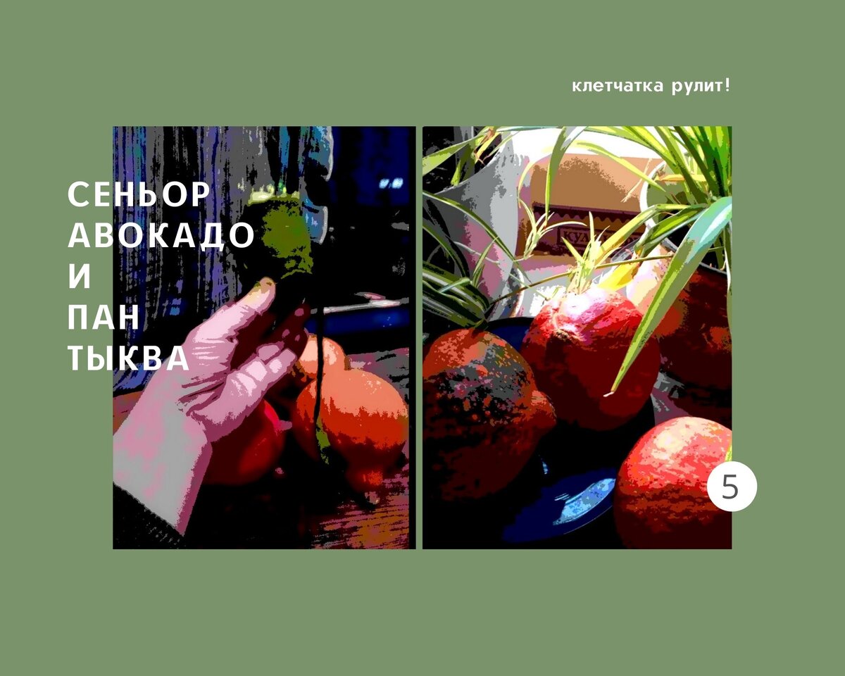 Любимая еда и культовый овощ.