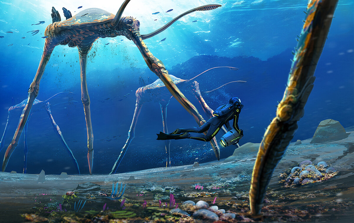 Источник: яндекс.ру