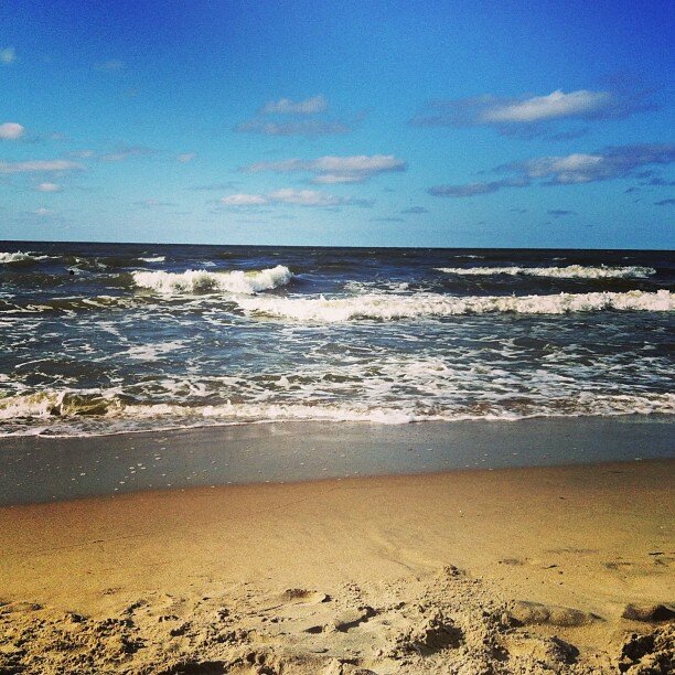 Мечты и размышления