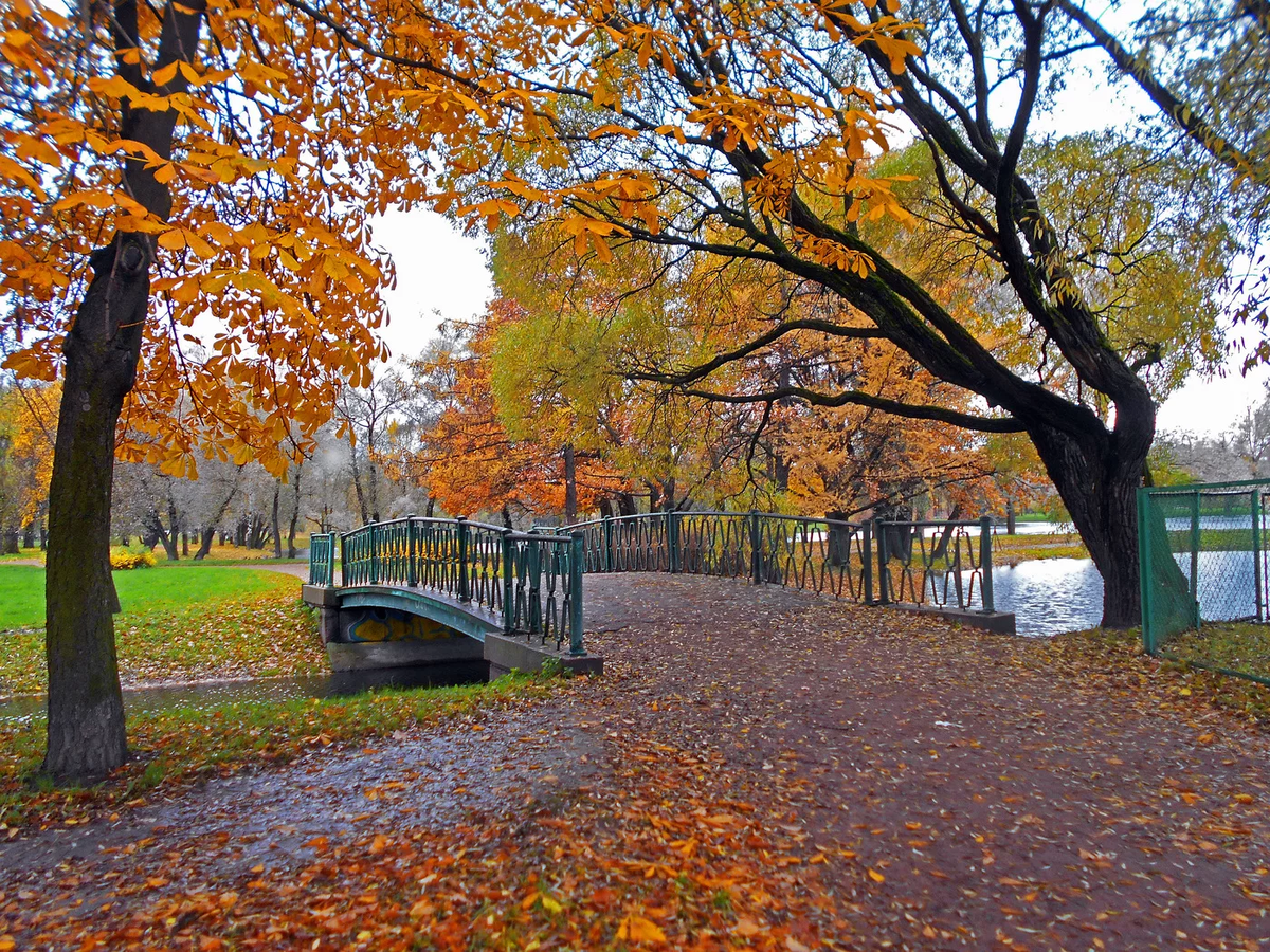 Из открытого источника