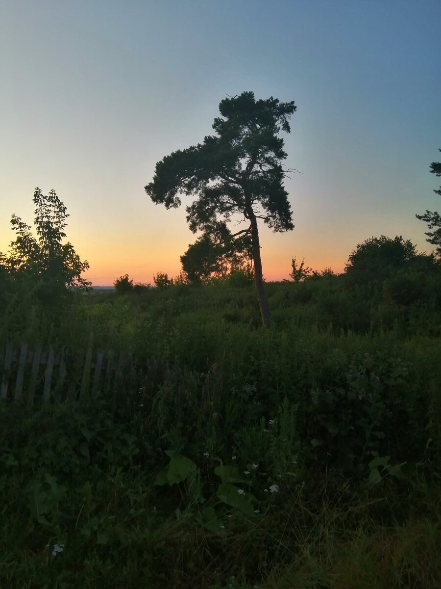 Фото мое. Без фильтров ❤️