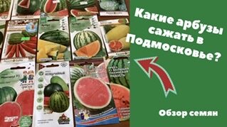 Какие арбузы сажать в Подмосковье? Обзор семян.