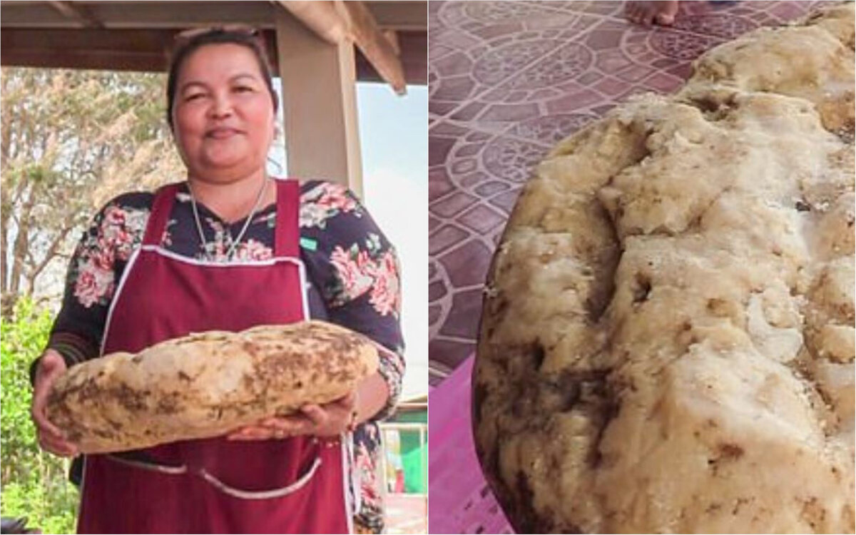 Жительница Таиланда может продать эту вещь за 250 тыс. долларов