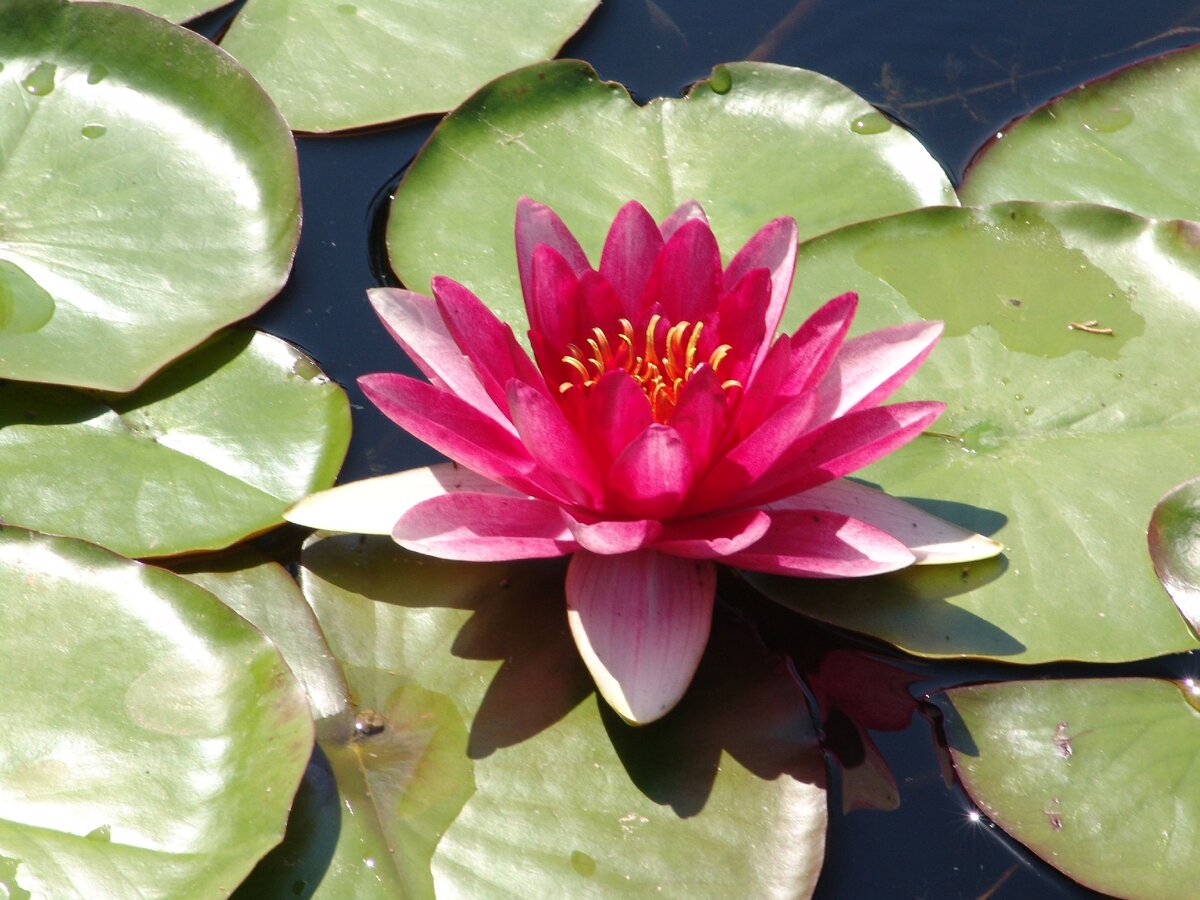 Фото из личного архива. Божественная красота...