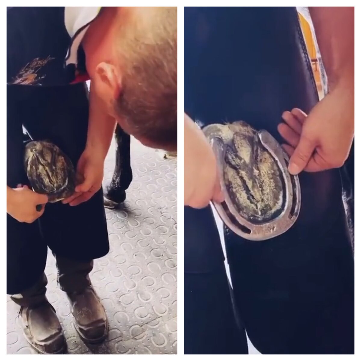 Примерка подковы