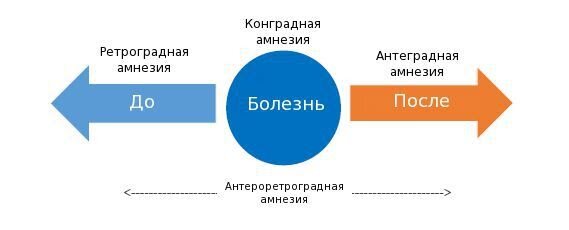 Эта схема хорошо иллюстрирует соотношение вида амнезии с хронологией воспоминаний. Источник: Яндекс-картинки