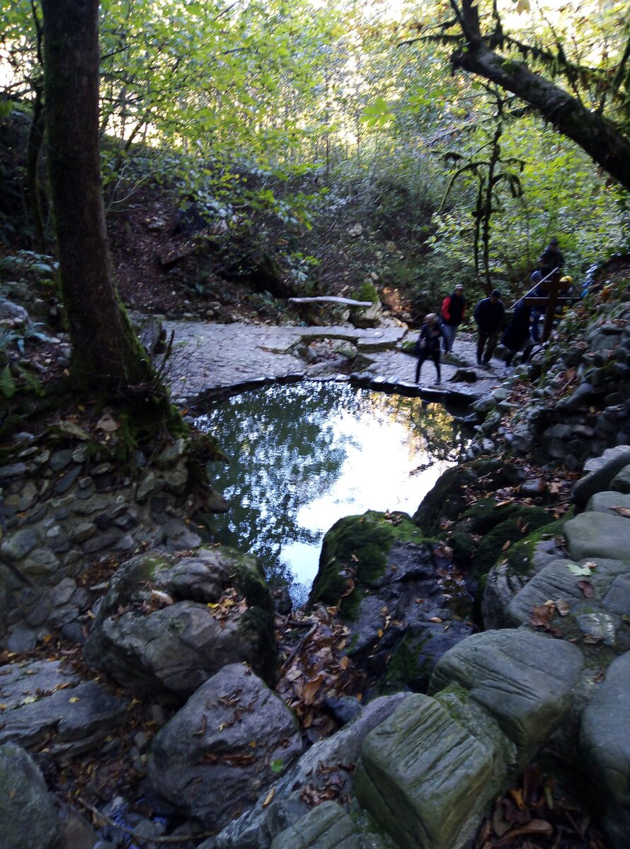 Фото автора.