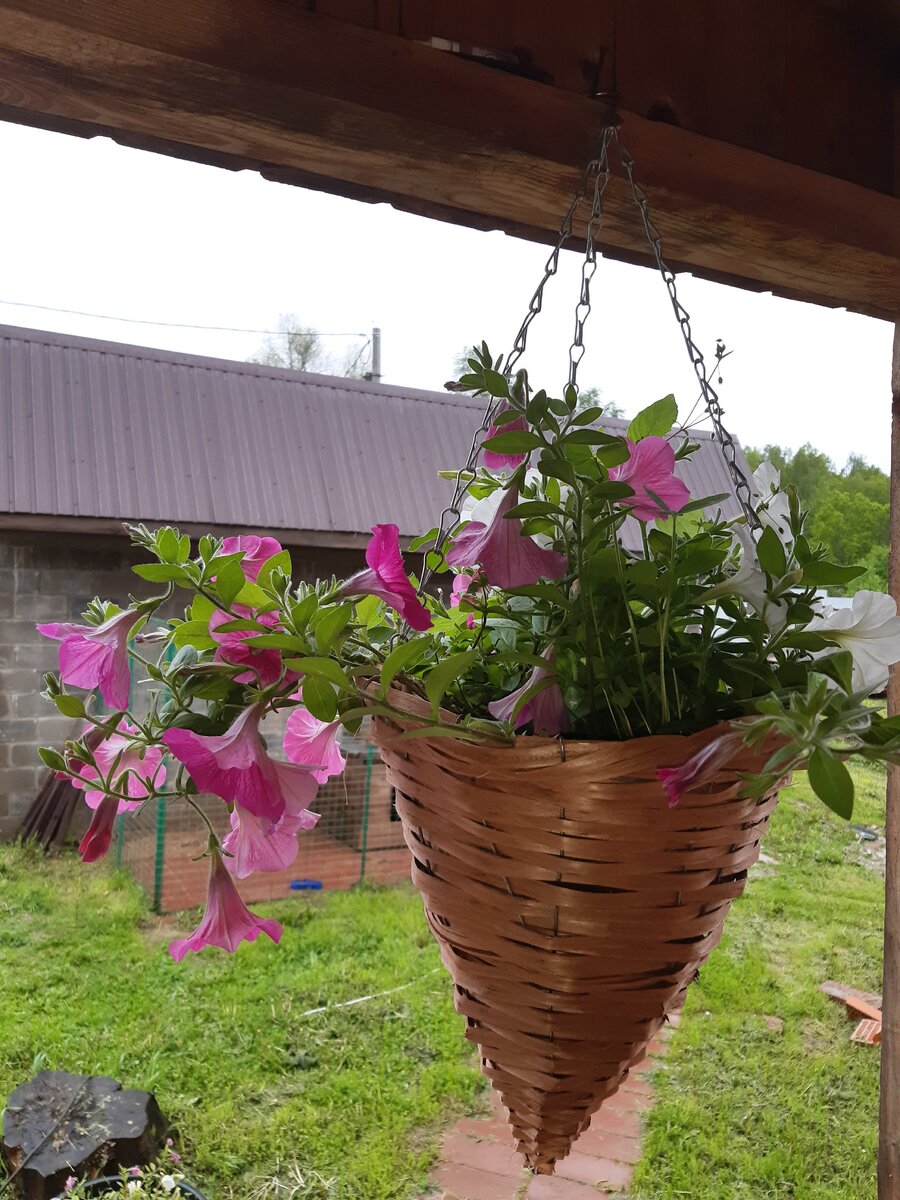 Моя красота))