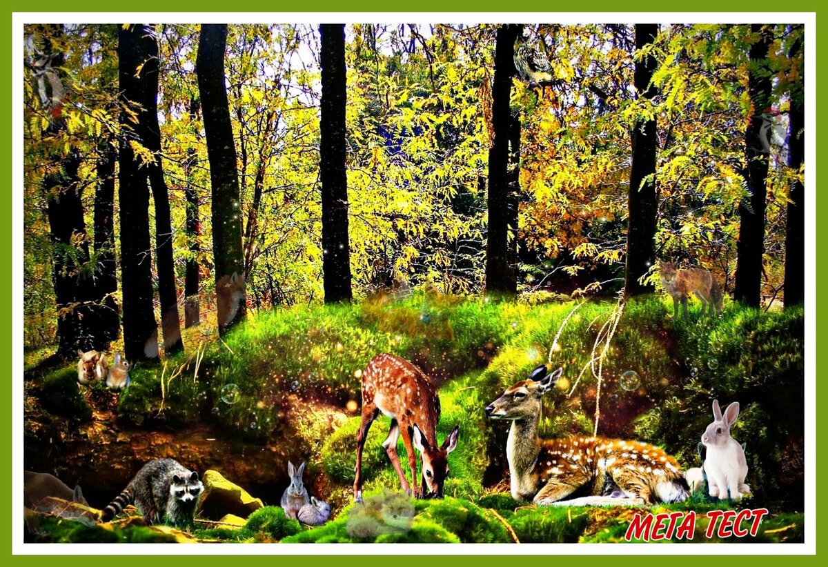 Иллюстрация pixabay.com. Задача авторская.