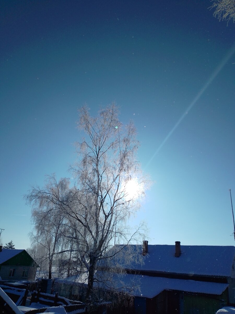 Красивый зимний день 