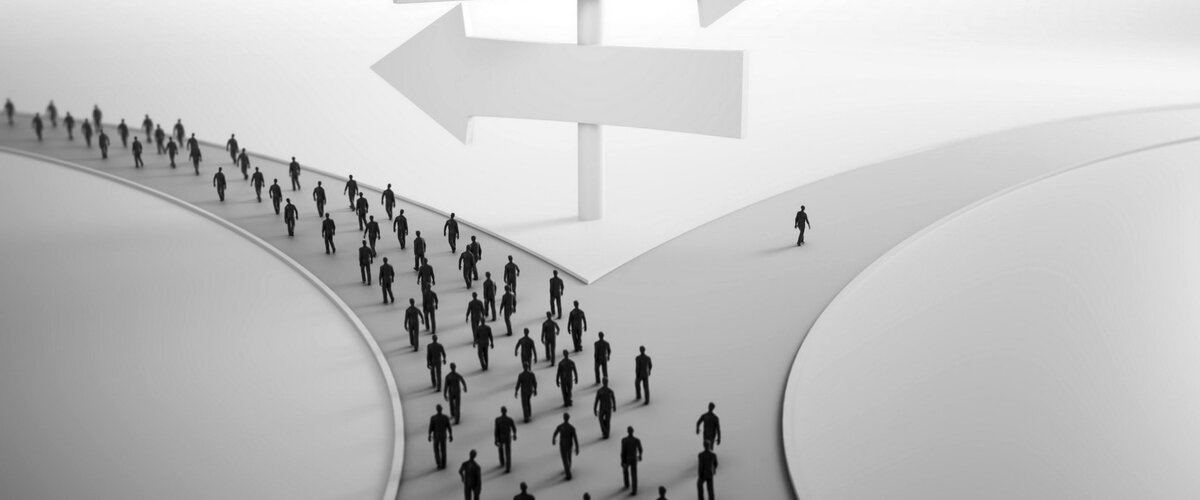 Фотография взята из интернета.