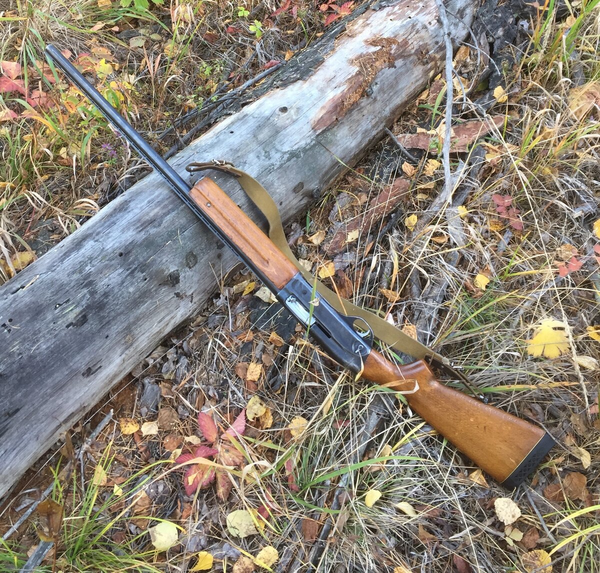 Чистка оружия. Рассказываю о своём методе | DES. Охота, оружие ...