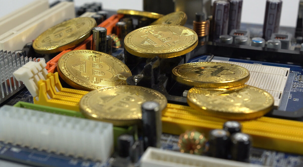 Фото: Abrilla/Pixabay