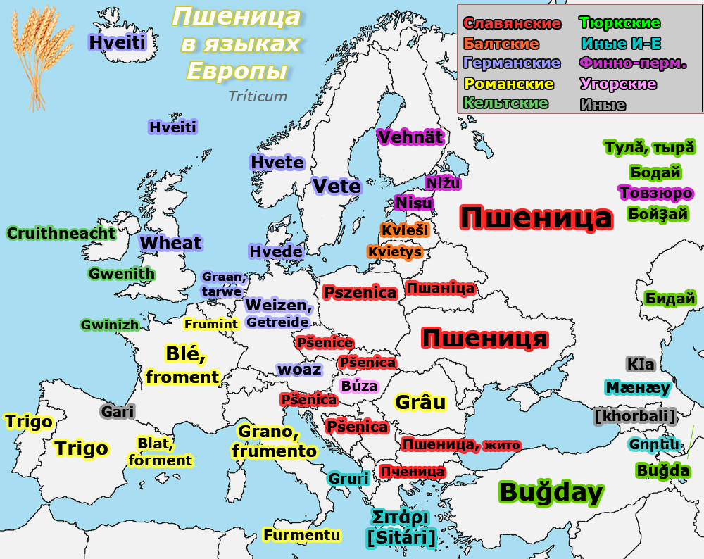 Слова европейских языков. Языки Европы карта. Карта языковых групп Европы. Карта - Европа. Народы и языки Европы.