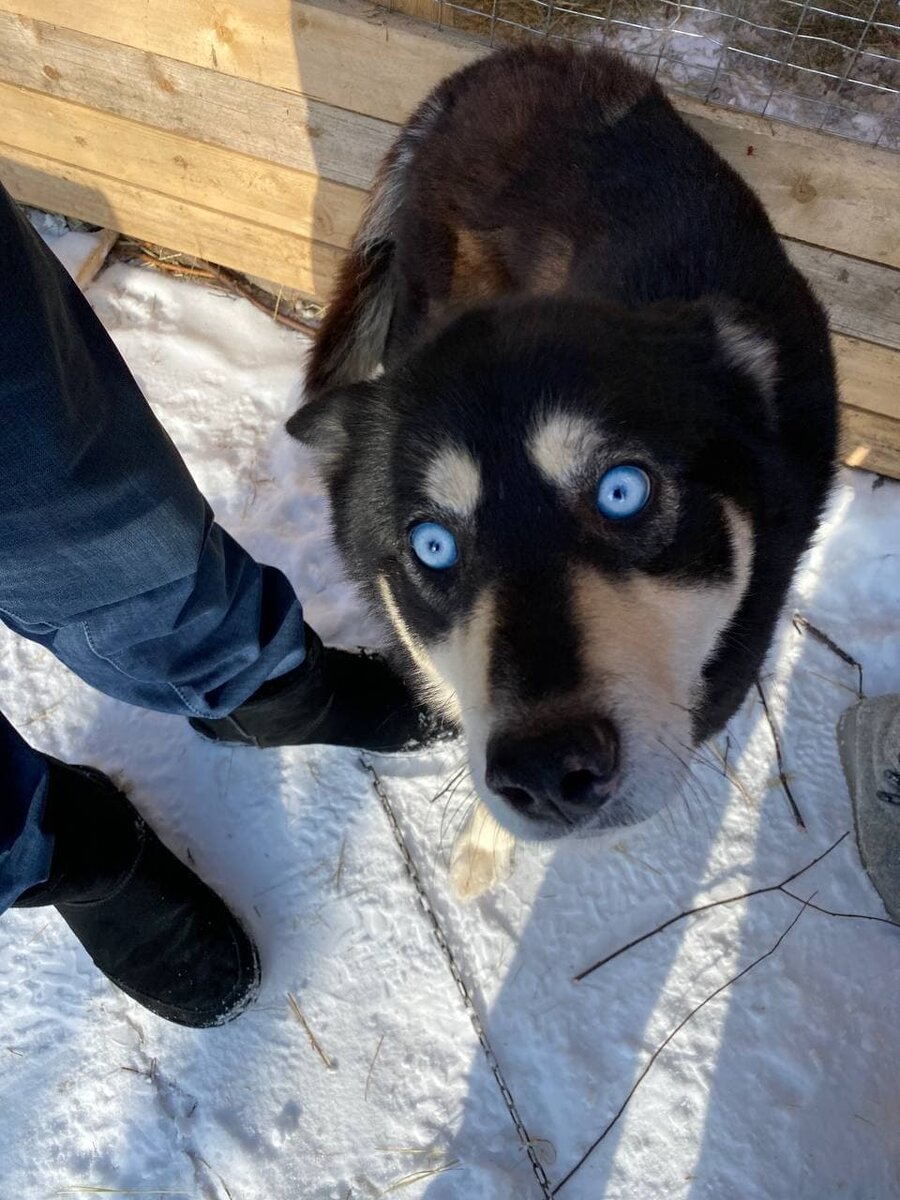 Глаза как океан.