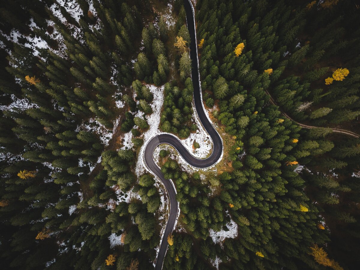 Дорога лес вид сверху дрон