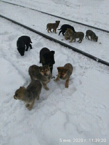 фото бабушек.