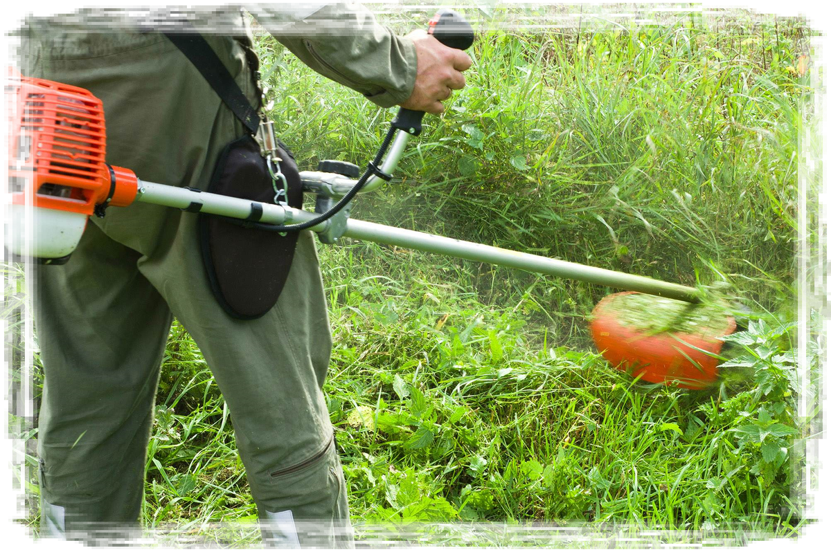 Покос травы. Яндекс картинки в свободном доступе.