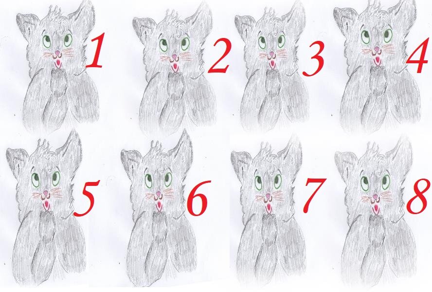гадание, советы и предсказания от Мудрого Кота