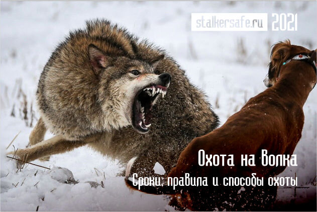 Интернет-магазин Stalkersafe.ru