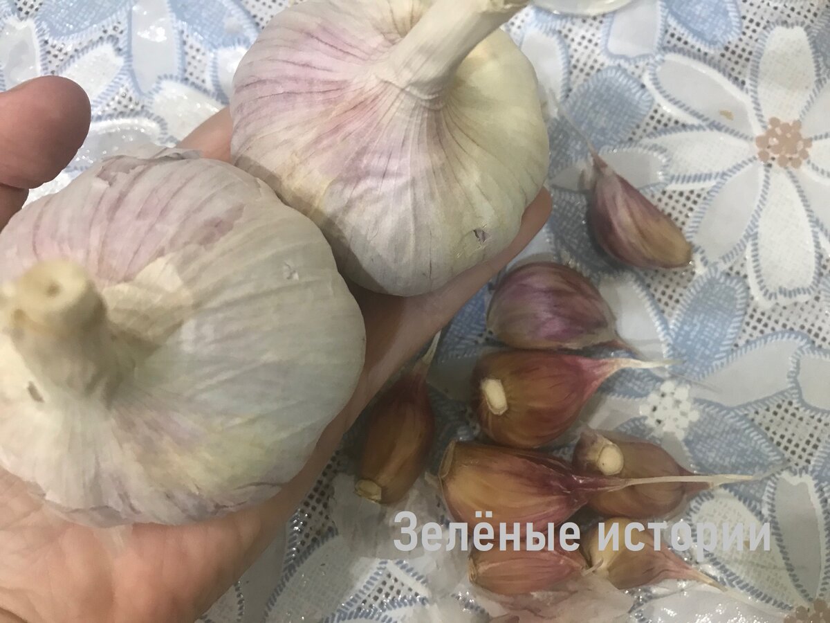 ГБЦ 21126 Приора (доработанные) - купить в Москве, цена 11 000 руб., продано 25 