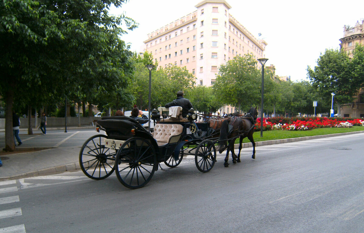 А может лучше не в грузовики, а в лошадей вложиться? Тоже, вроде бы, надежные. Фото автора