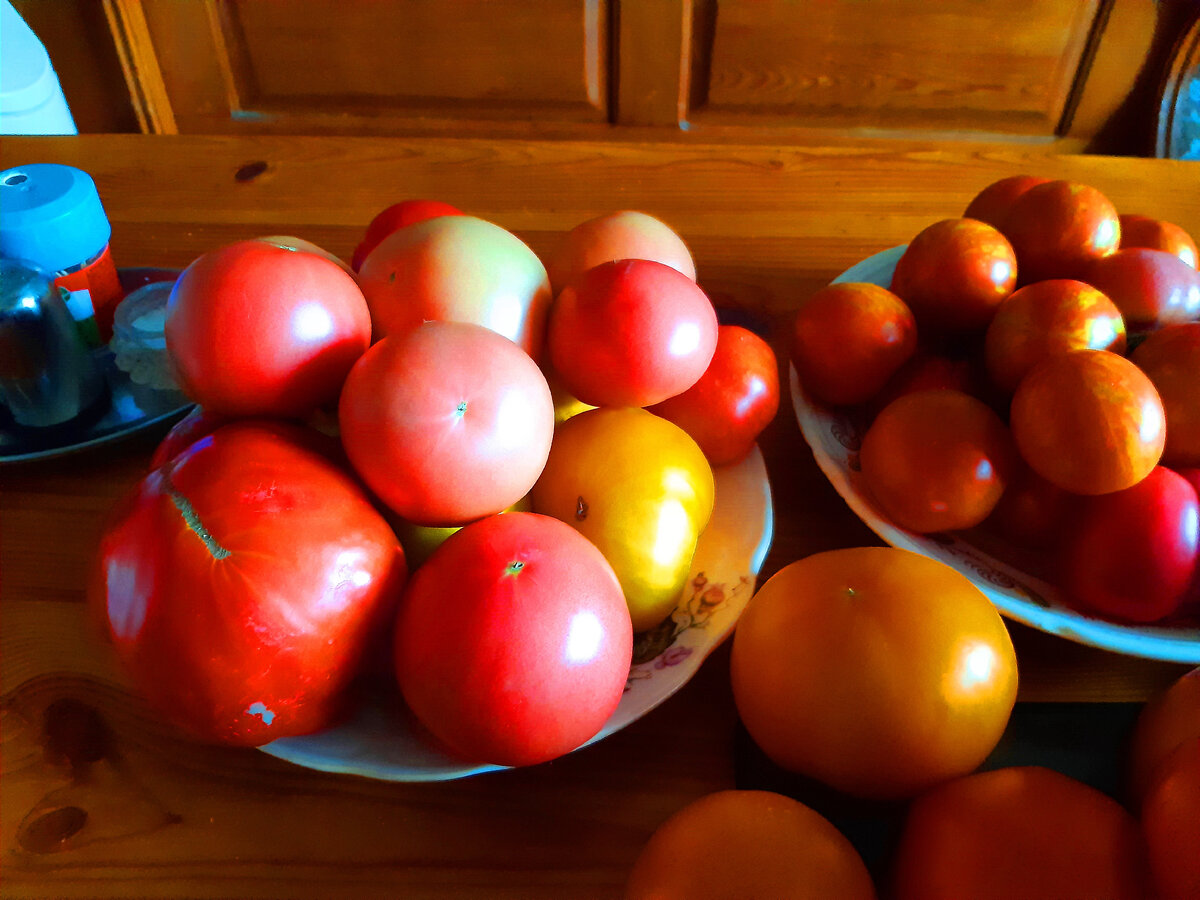 Слева на тарелке розовые плоды "Розалба F1"