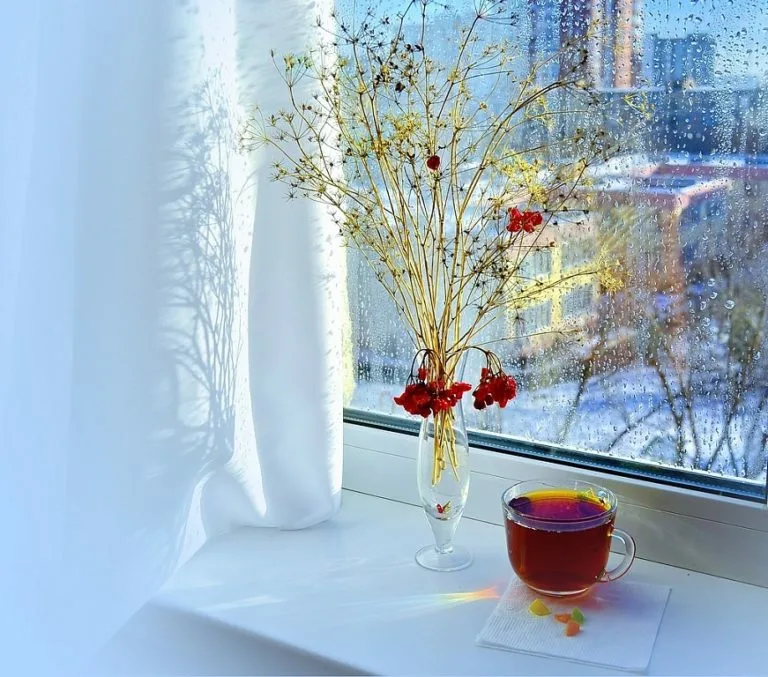 Из Яндекс.Картинки.