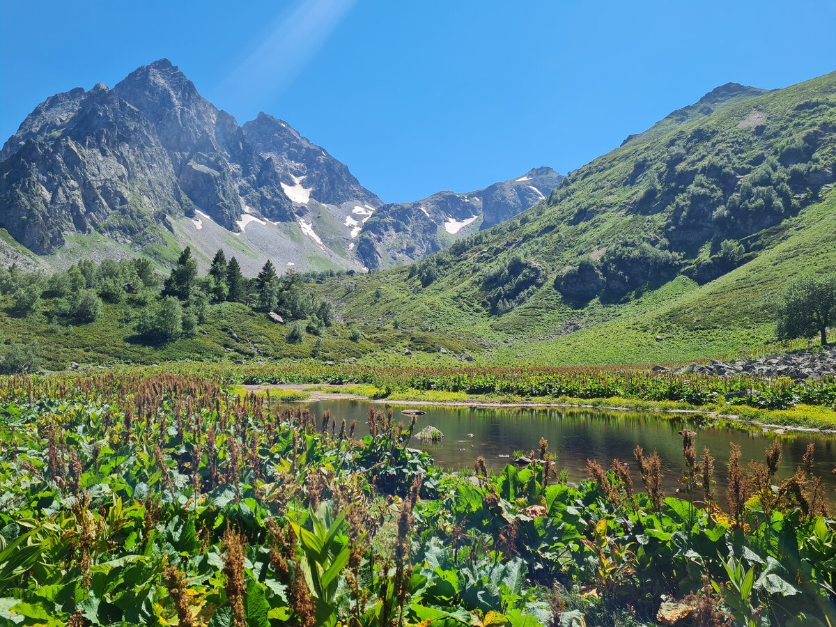 Горное озеро в балке "Орленок". Архыз. Июль 2021